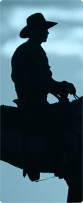 Cowboy Blue